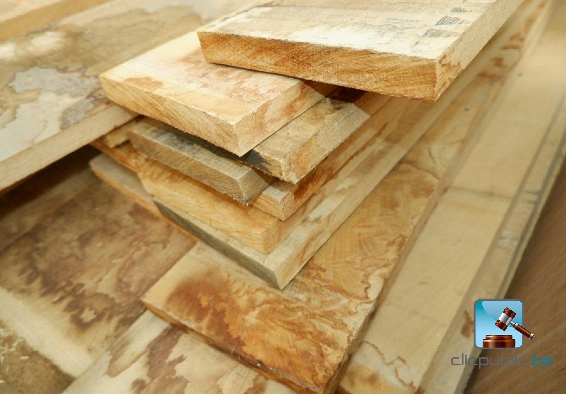 Lot De Planches Raboteuses Pour Pêche – Neuf Avec Défauts Mineurs – US