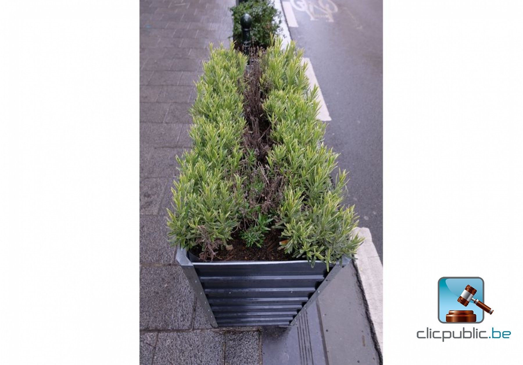 Lot De 4 Jardinières Rectangulaires En Plastique Pour